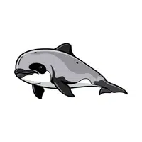 Porpoise | Vertebrates Animals Names 
