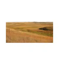 Prairie | Landforms Names 