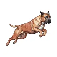 Presa Canario | Guard Animals Names 