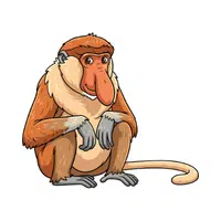 Proboscis Monkey