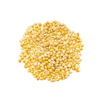 Proso Millet | Cereals Names 
