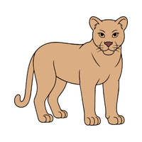 Puma | Carnivorous Animals Names