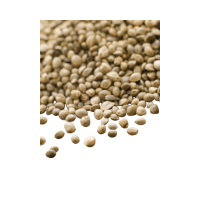 Puy Lentils | Lentils Names