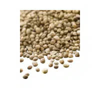 Puy Lentils | Lentils Names