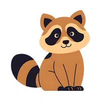 Raccoon | Woodland Animals Names