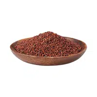 Ragi | Cereals Names 