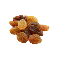 Raisin | Small Fruits Names