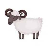 Ram