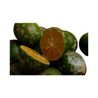 Rangpur 