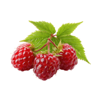 Raspberry | Small Fruits Names
