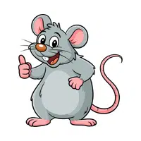 Rat | Vertebrates Animals Names