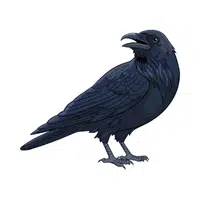 Raven | Woodland Animals Names