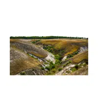 Ravine