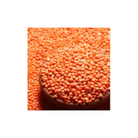 Raw Lentils | Lentils Names