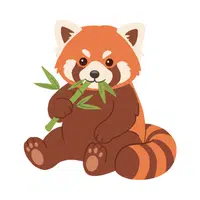 Red Panda | Endangered Animals Names
