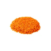 Red Lentils | Lentils Names