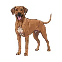 Rhodesian Ridgeback | Guard Animals Names 