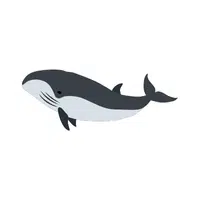 Right Whale | Largest Animals Names