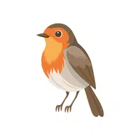 Robin | Woodland Animals Names