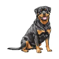 Rottweiler | Guard Animals Names