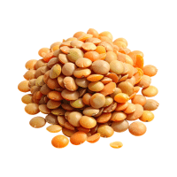 Round Lentils | Lentils Names
