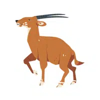 Saola | Endangered Animals Names