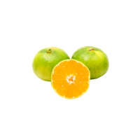 Satsuma
