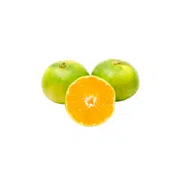 Satsuma 