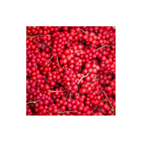 Schisandraberry | Small Fruits Names