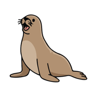 Sea Lion | Carnivorous Animals Names