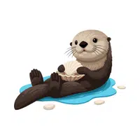 Sea Otter 