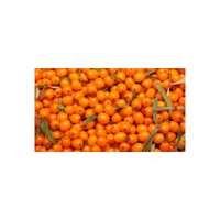 Seabuckthornberry | Small Fruits Names