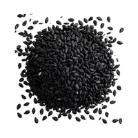 Seed | 100 Natural Things Names