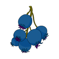 Serviceberry | Small Fruits Names