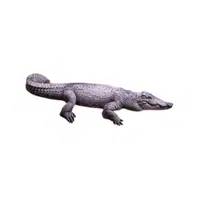 Siamese Crocodile | Endangered Animals Names