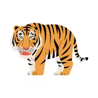 Siberian Tiger | Endangered Animals Names