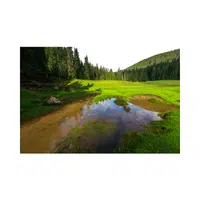Sinkhole