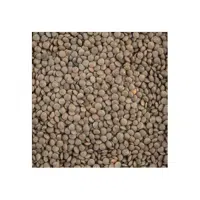 Small Lentils | Lentils Names