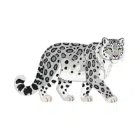 Snow Leopard | Endangered Animals Names