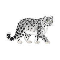 Snow Leopard | Carnivorous Animals Names