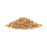Spelt | Cereals Names 