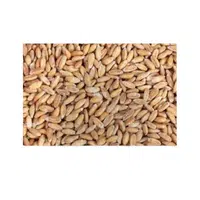 Spelz | Cereals Names 