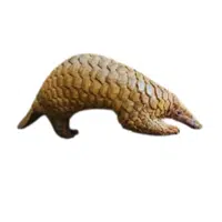 Sunda Pangolin | Endangered Animals Names