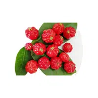Surinamcherry 