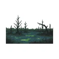 Swamp | Landforms Names 
