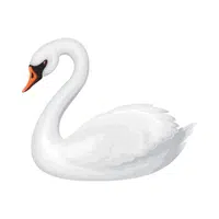 Swan | Woodland Animals Names
