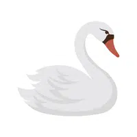 Swan | Friendly Animals Names