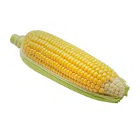 Sweetcorn 