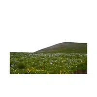 Tableland 