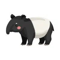 Tapir